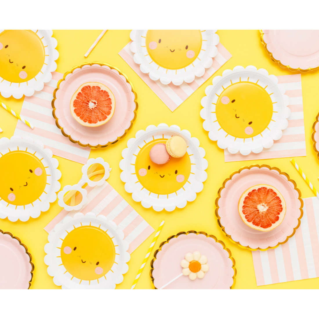 Bordjes sun daisy 6 stuks