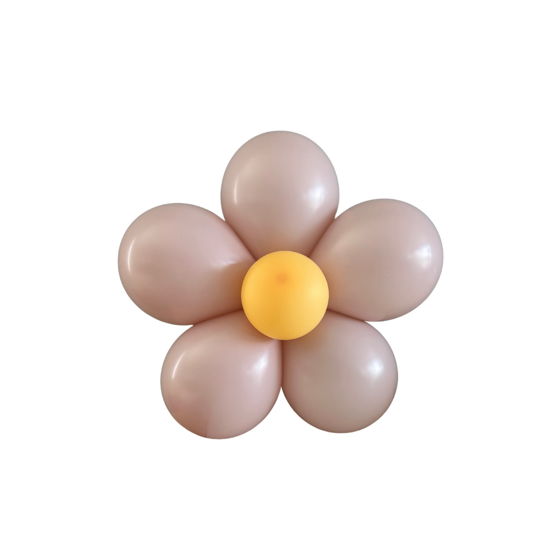 Whoopsie Daisy diy balloon kit - dusty rose 5 stuks