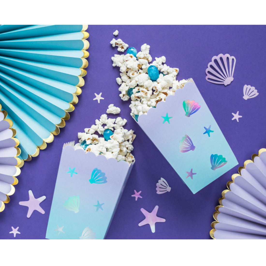 Snackdoosjes zeeschelpen 6 stuks