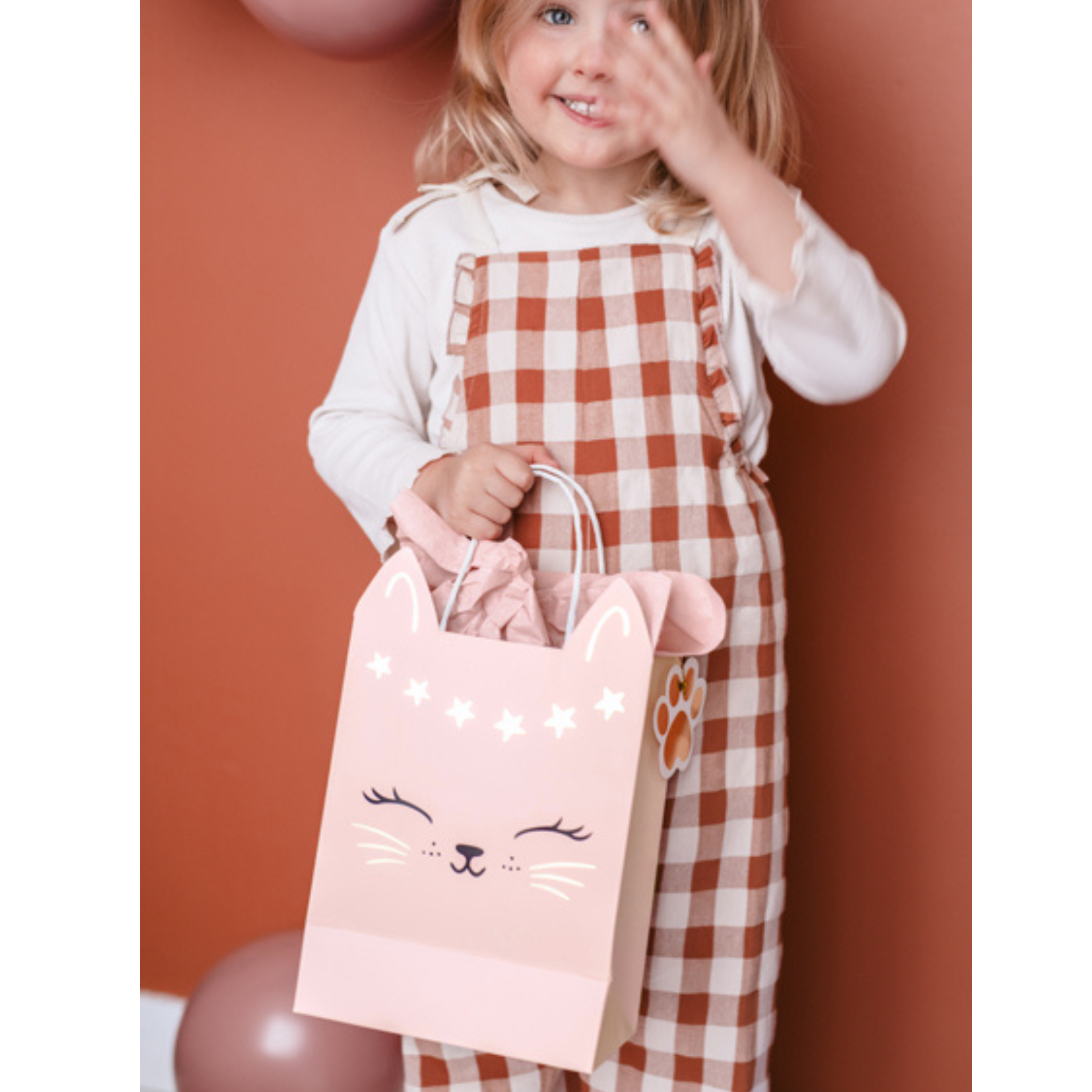 Papieren cadeautasje poes