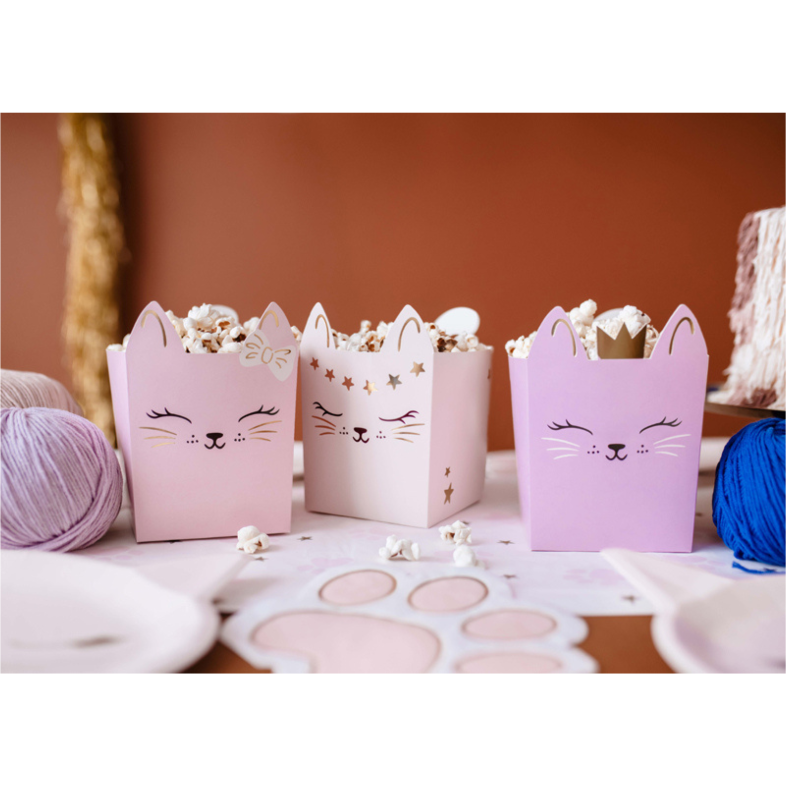 Snackdoosjes poezen 3 stuks