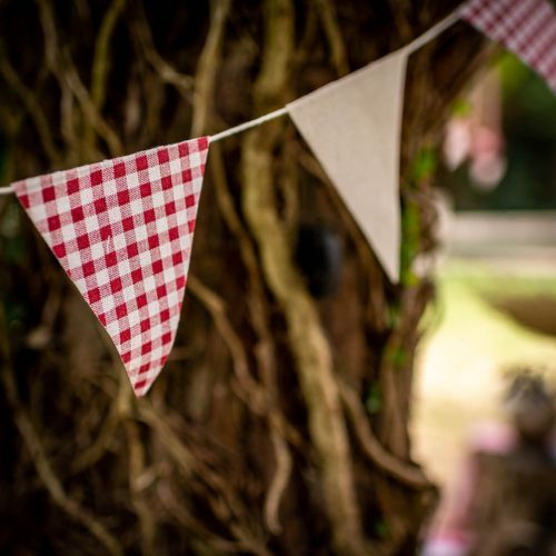 Stoffen vlaggenlijn vichy rood 2 meter
