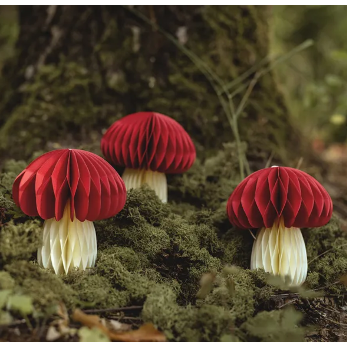 Drie rode honeycomb paddenstoelen met beige steel tussen groen mos als sfeervolle herfst- en bosdecoratie.